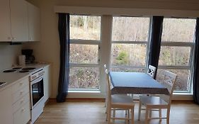 Seljord Apartment
